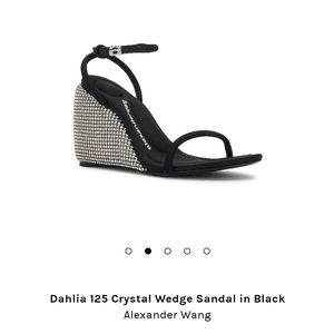 Gorgeous Alexander Wang Sandals